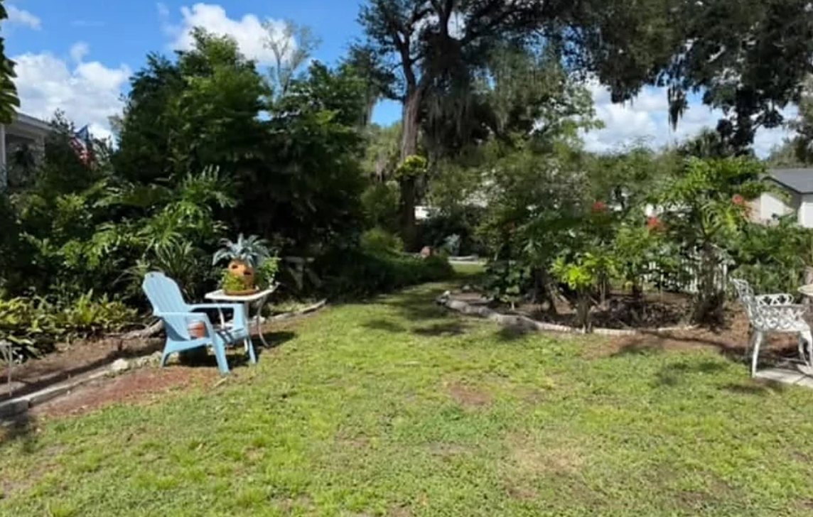 After: the garden trimmed back and the lawn opened up