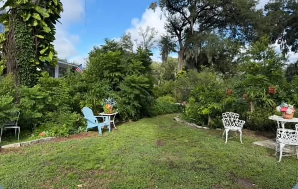 Before: an overgrown garden crowding the lawn