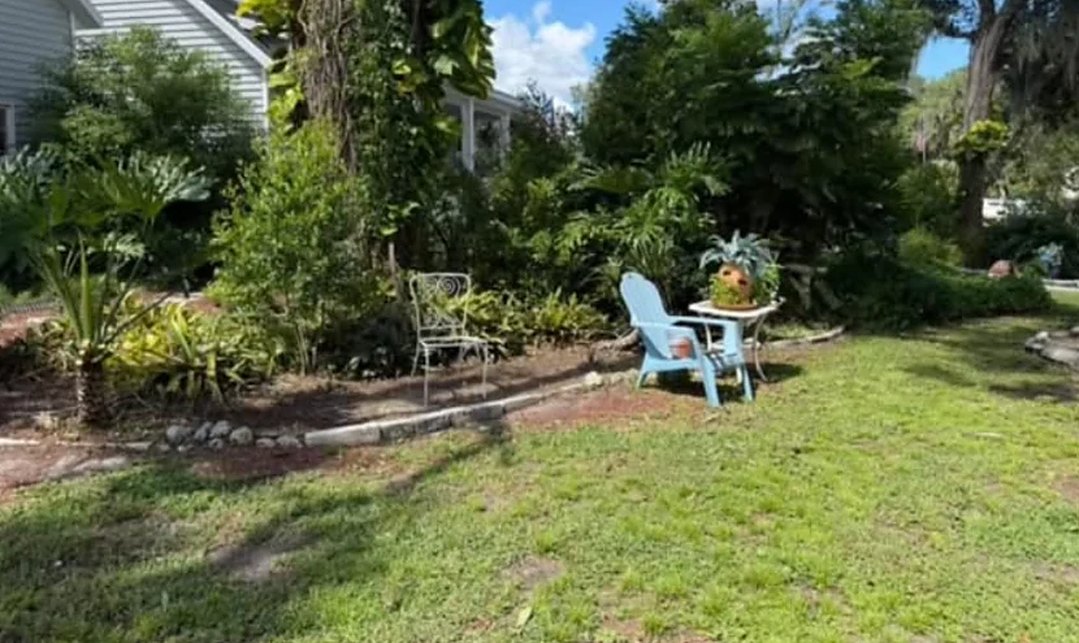 After: the same beds cleaned, edged and reshaped