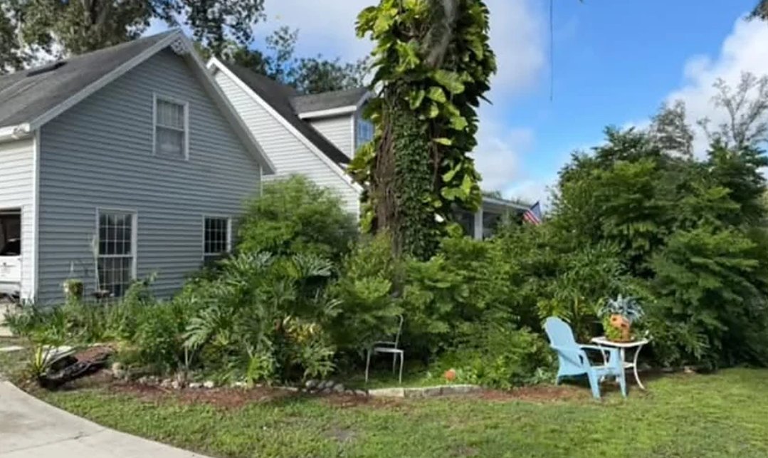 Before: overgrown front beds beside a driveway