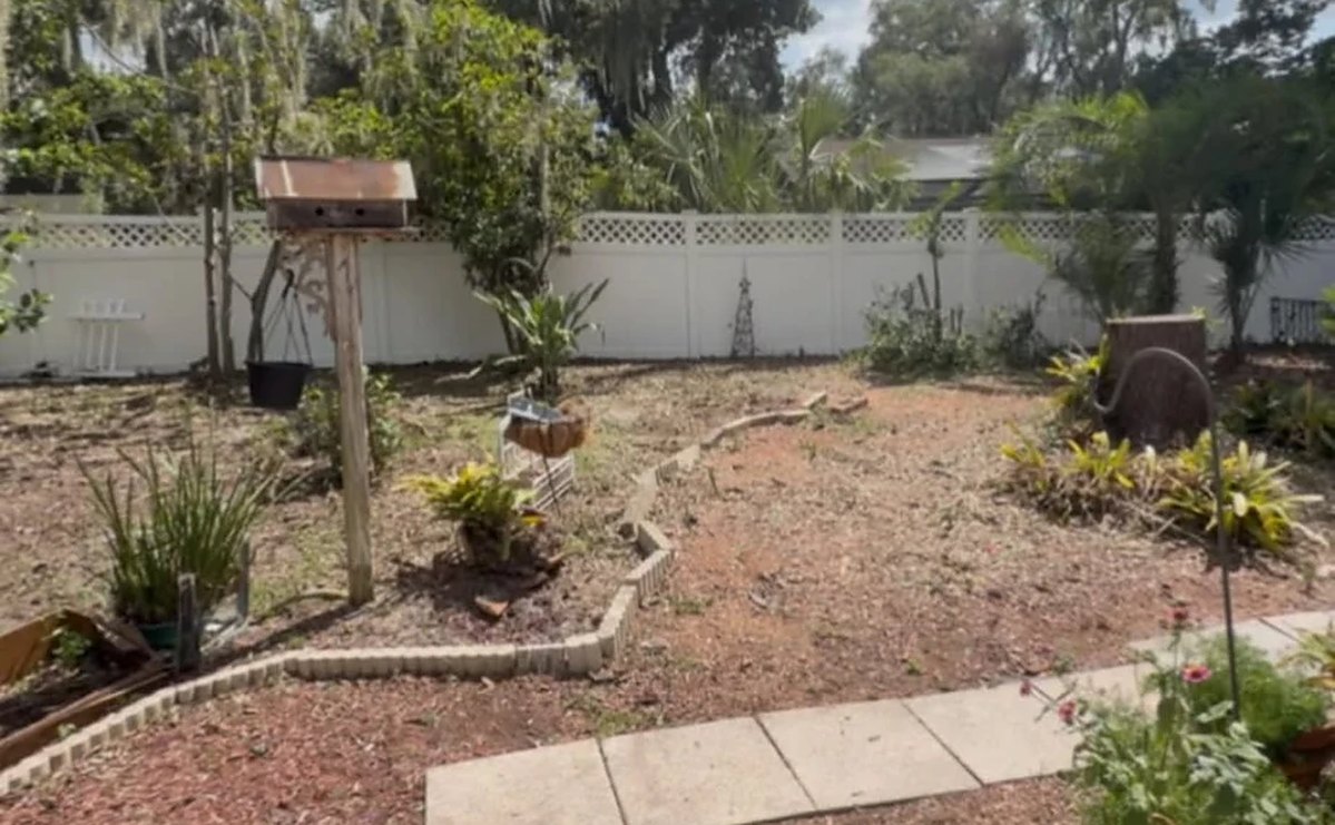 After: the same backyard cleared, edged and freshly mulched