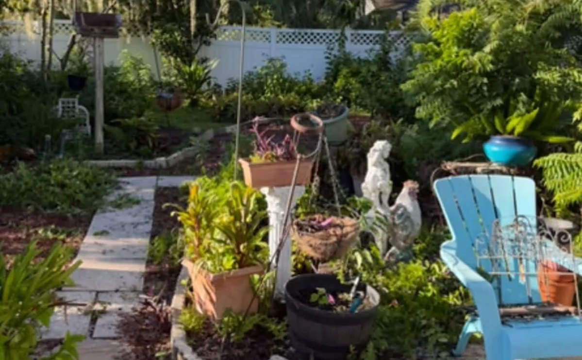 Before: an overgrown backyard garden crowded with pots and weeds